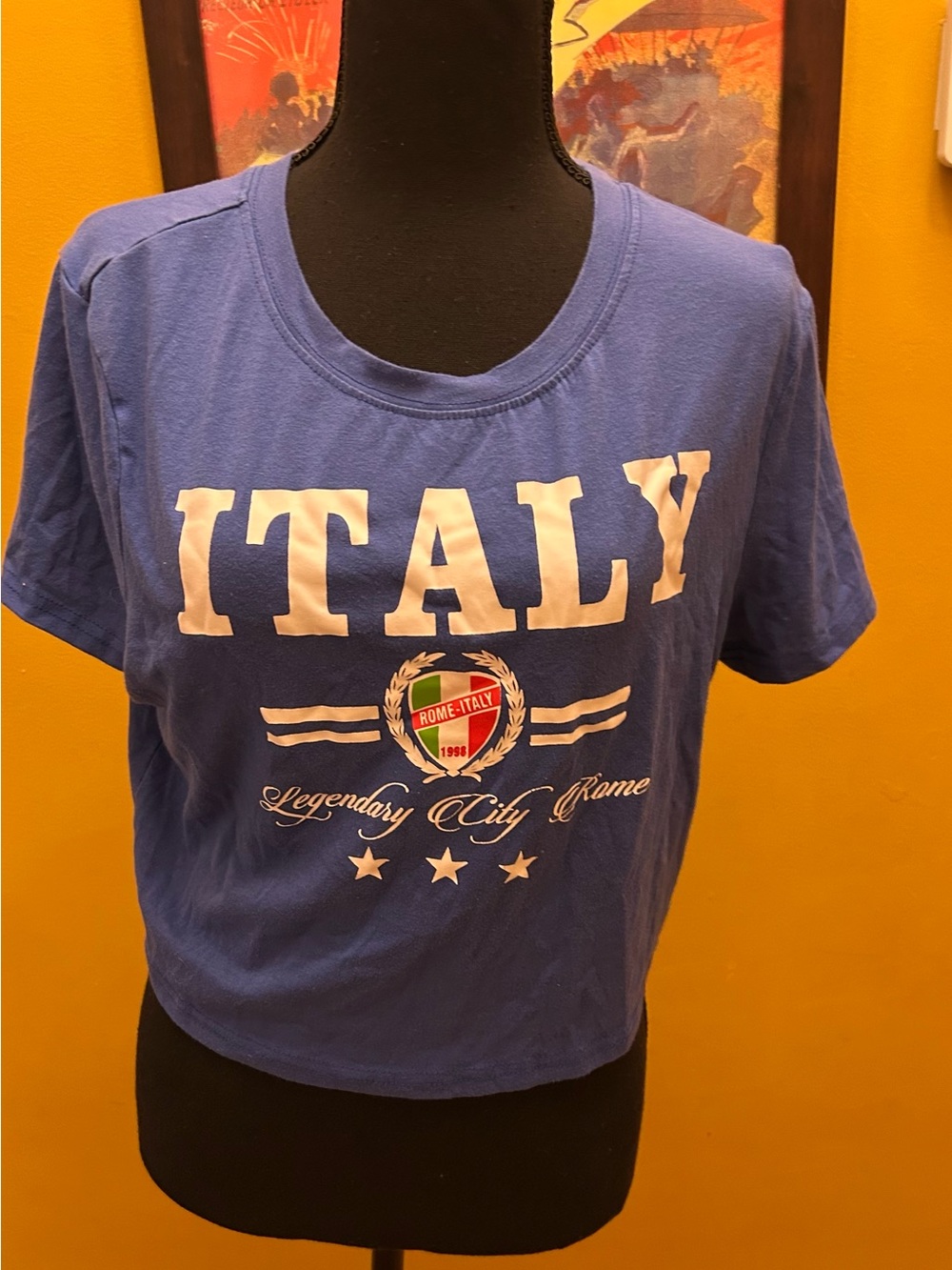 Italy Crop Baby Tee Size 1X
